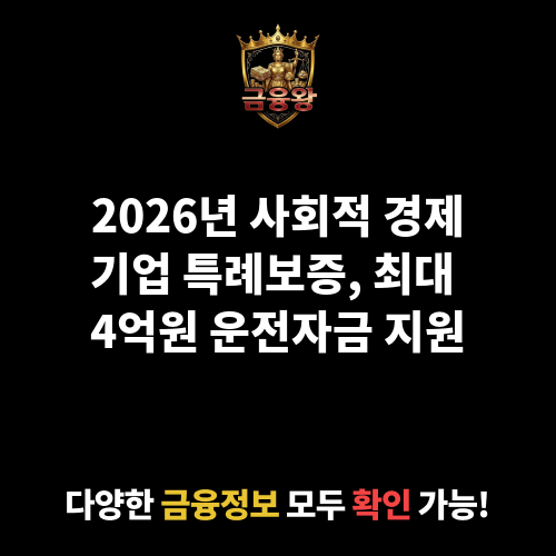 사회적 경제기업 특례보증