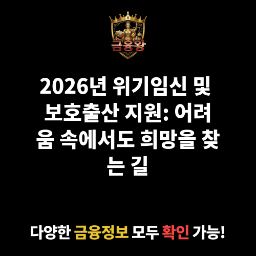 위기임신 및 보호출산 지원