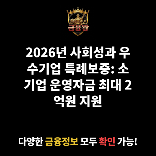 사회성과 우수기업 특례보증