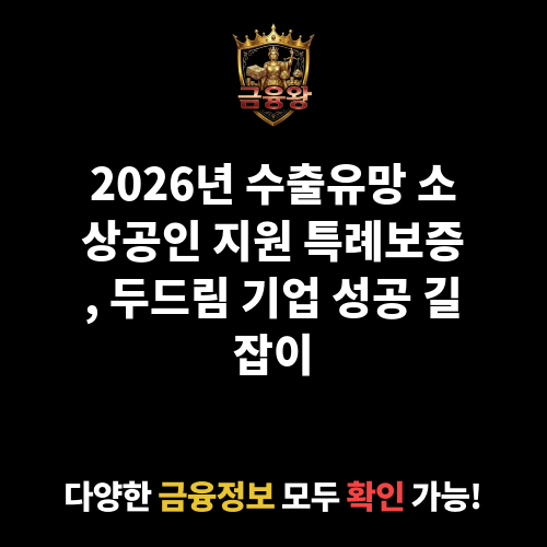 수출유망 소상공인 지원 특례보증(수출 두드림 기업 지원)