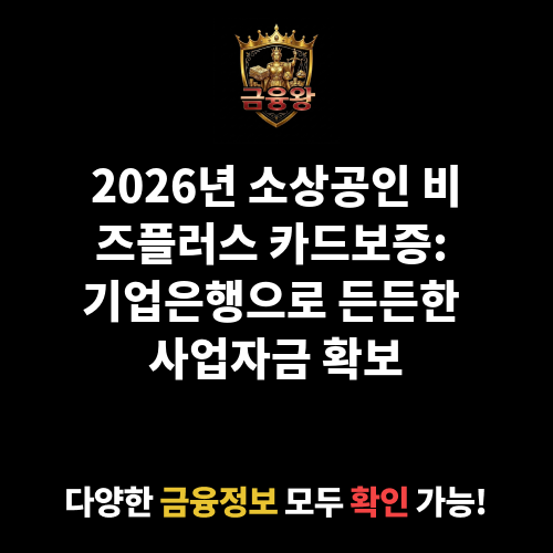 소상공인 비즈플러스 카드보증