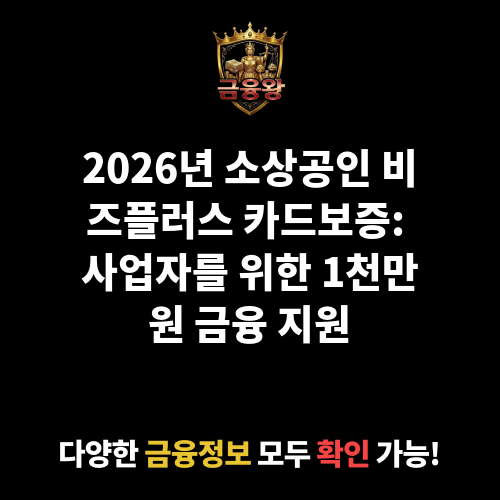 소상공인 비즈플러스 카드보증