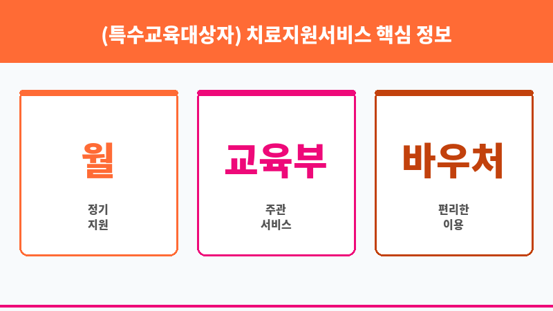 (특수교육대상자) 치료지원서비스 보조 이미지 3